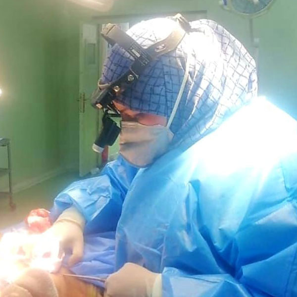 الدكتورة ضي الحويزي