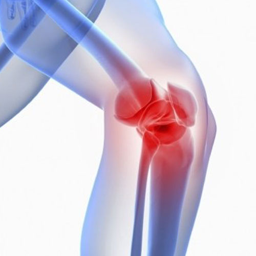 الدكتورة فادية عباس جبار النداوي الدكتورة فادية عباس جبار النداوي